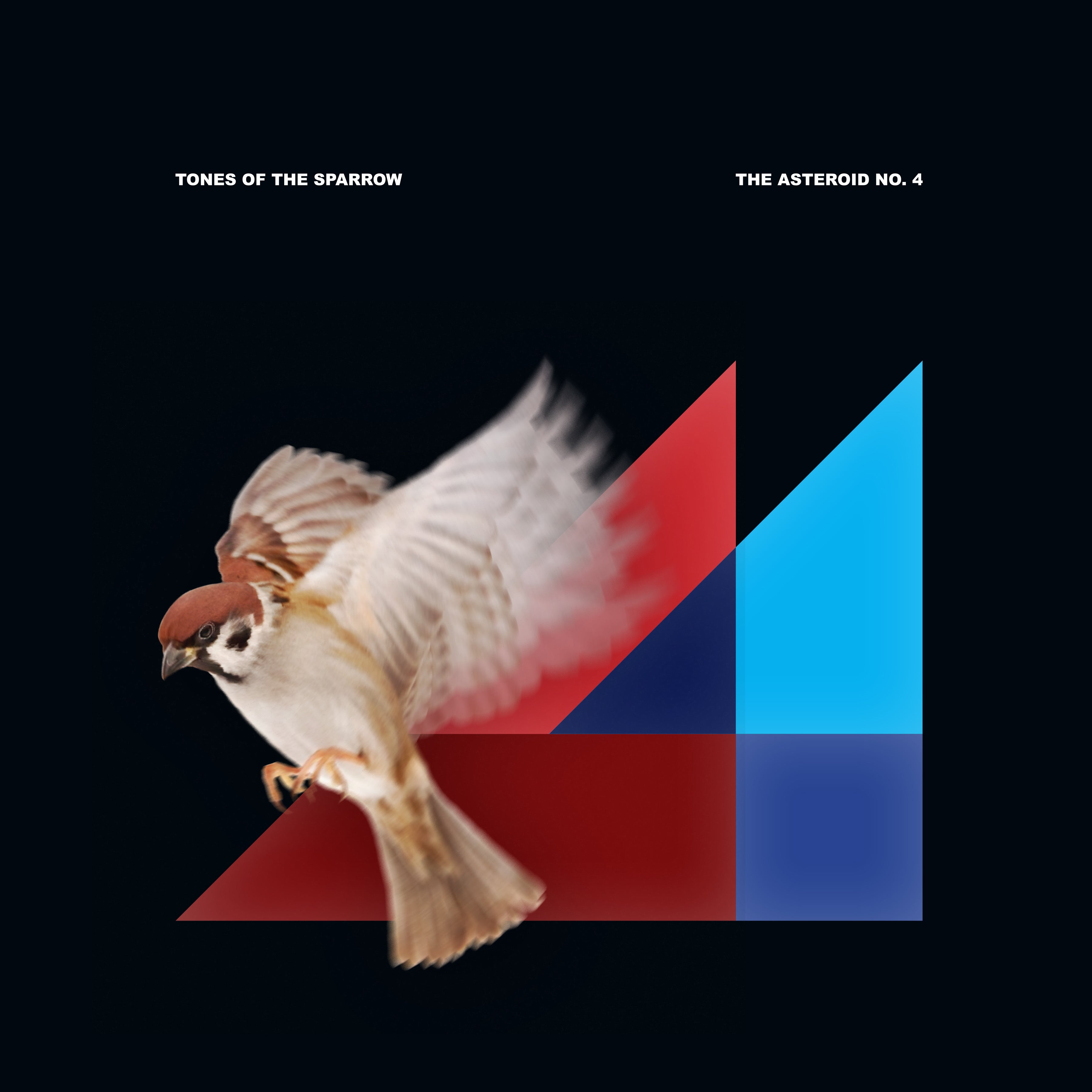 洋楽 Sparrow The Movement / What You Expect PHYSICS | SPARROW THE MOVEMENT | SIX2SIX RECORDS